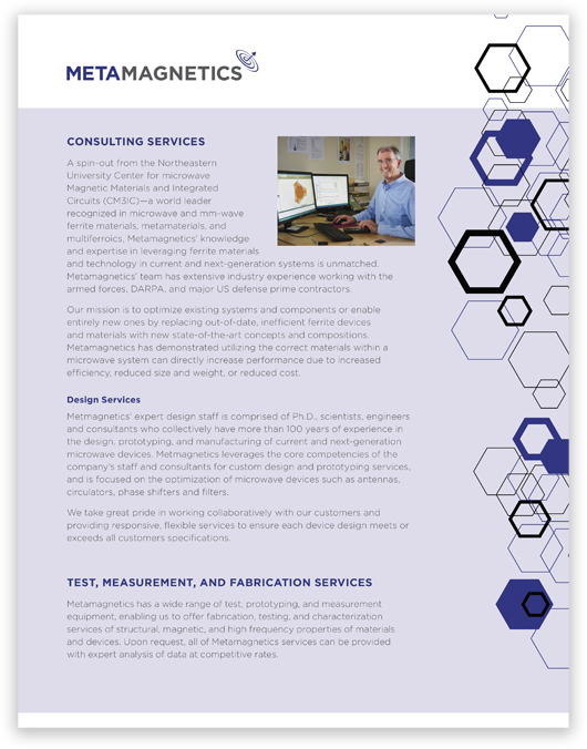 Metamagnetics Consulting Overview